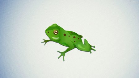 Лягушка на белом фоне