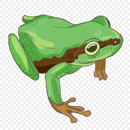 Лягушка мультяшная