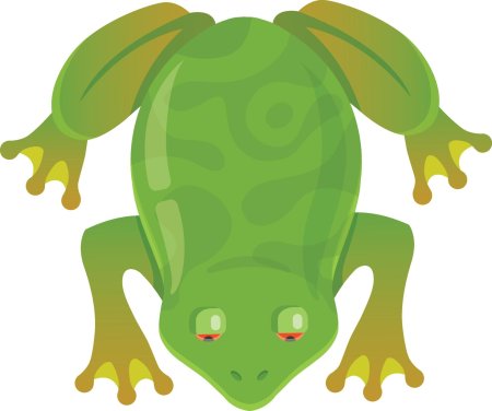 Лягушка вид сверху