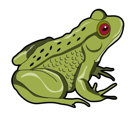 Жаба клипарт