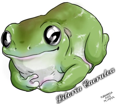 Милые рисунки лягушек