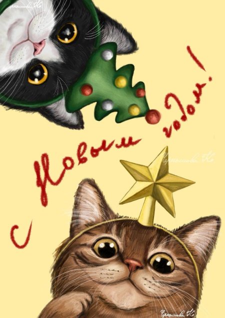 Новогодние котик