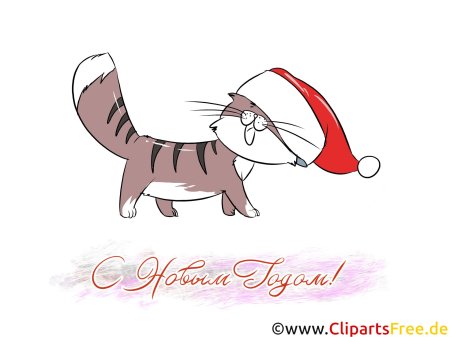 Новогодний кот клипарт