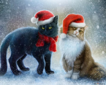 Новогодние кот