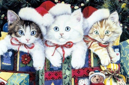 Новогодние котята