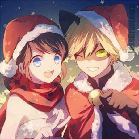 Леди баг и супер кот рождество