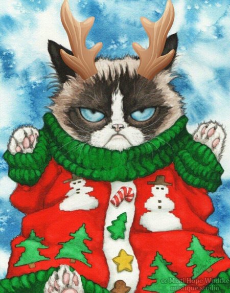 Новогодние котик