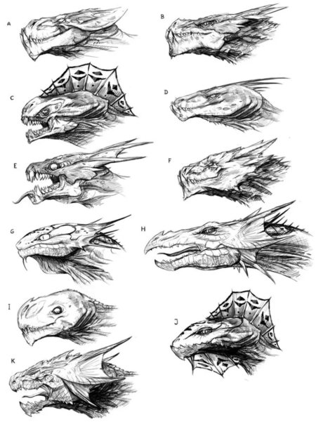 Арты головы дракона