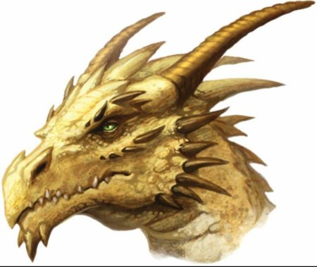 Морда дракона сбоку