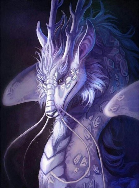 Зирнитра дракон