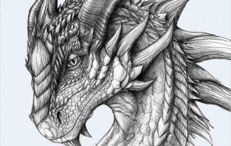 Дракон карандашом