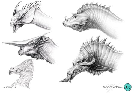 Голова дракона референс