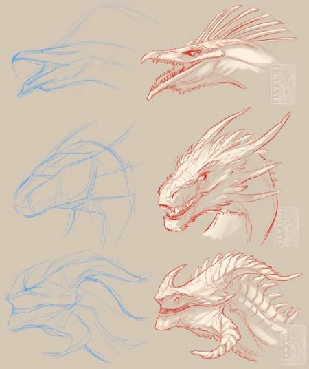 Анатомия дракона референс