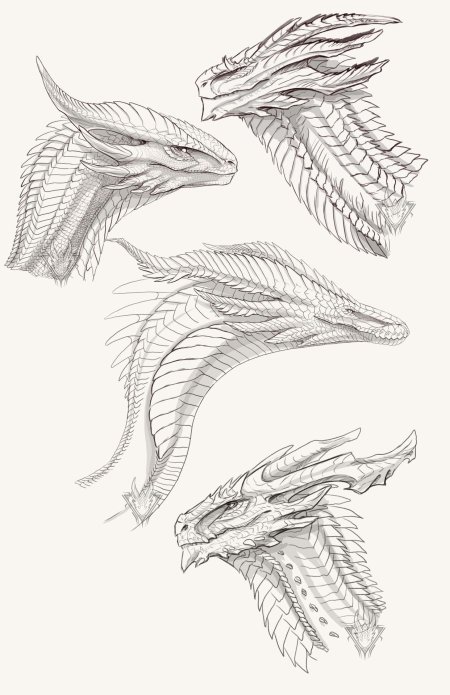 Референс дракона сбоку