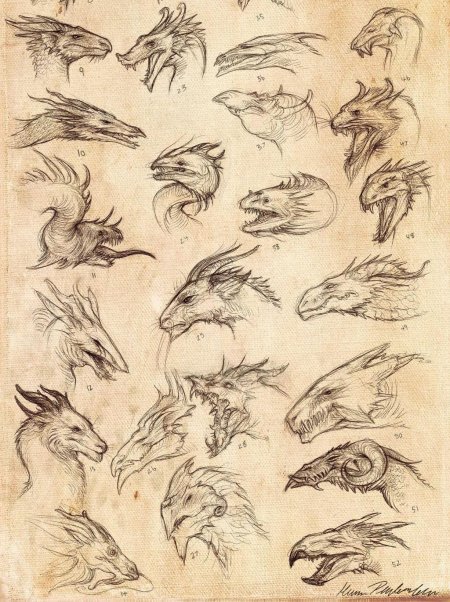 Дракон анатомия