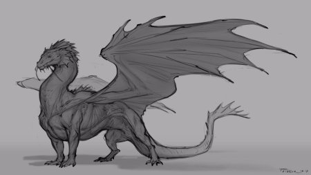 Драконы референсы