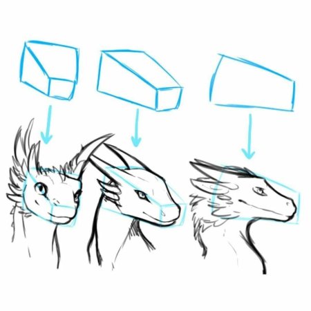 Голова дракона референс