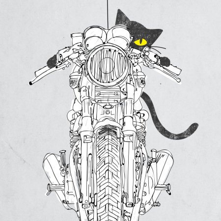 Кот на мотоцикле
