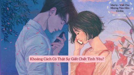 Ян се ын zipcy