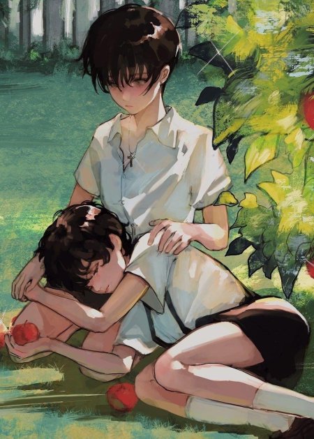 Художественные иллюстрации