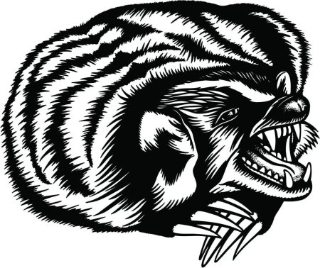 Медоед рисунок