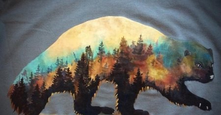 Росомаха животное