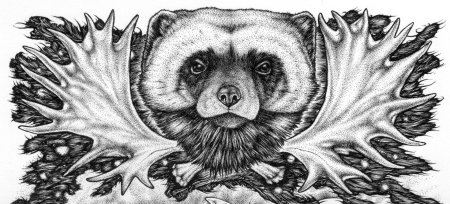 Зиганшин возвращение росомахи