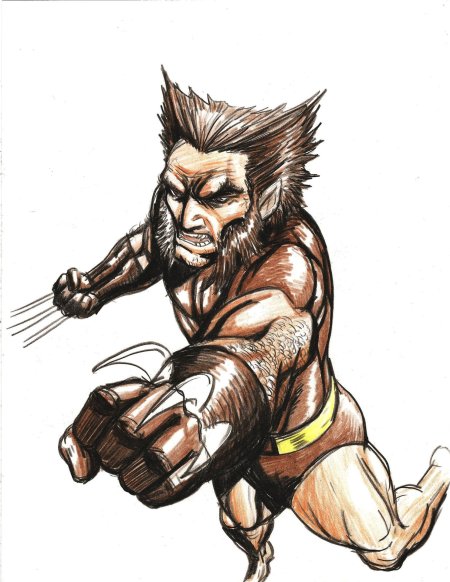 Рисунок росомаха