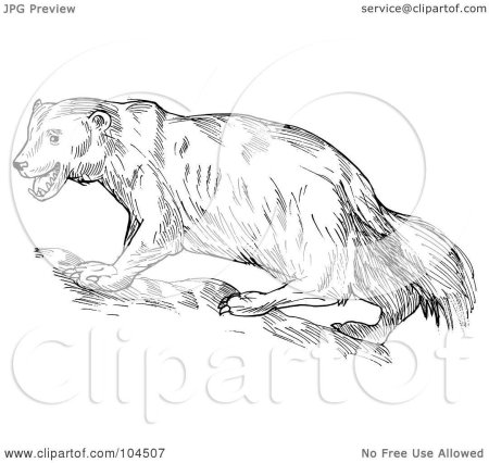 Вера чаплина росомаха