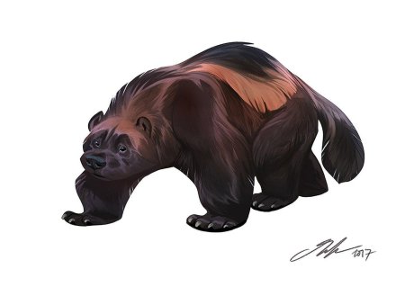 Росомаха животное арт