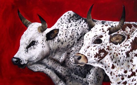 Nguni cattle