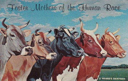 Коровы в живописи