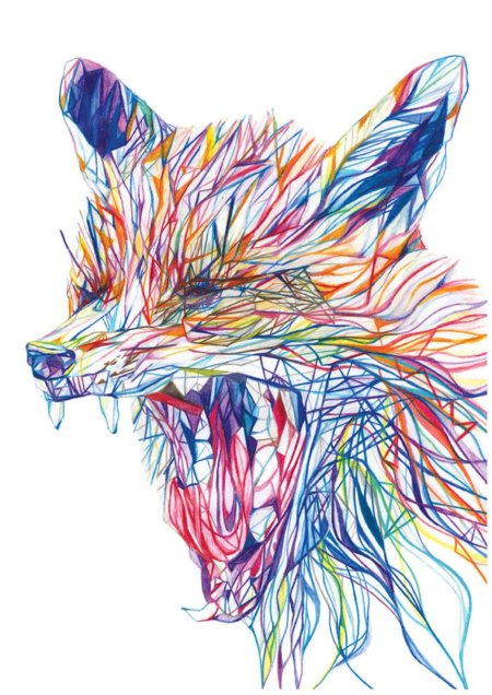 Лиса абстракция