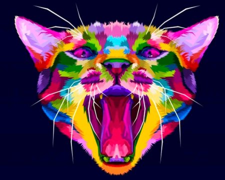 Поп арт кот