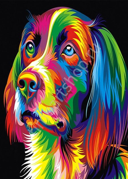 Радужный лев ваю ромдони