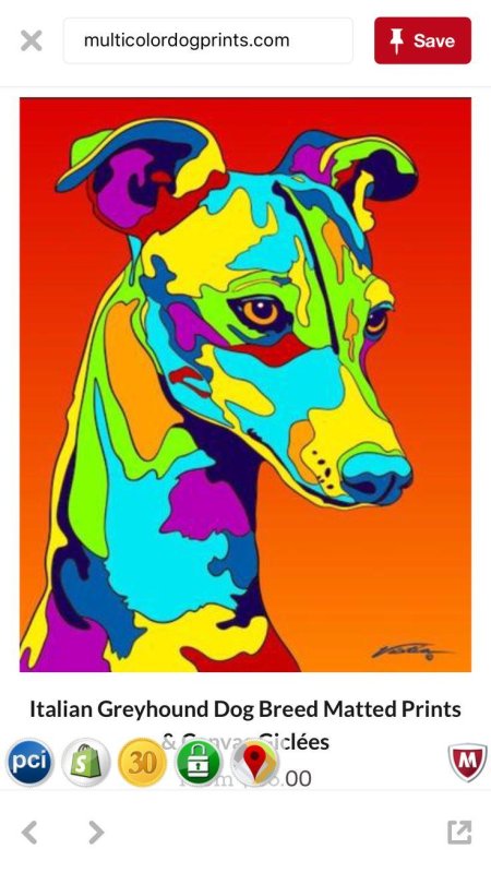 Картины животных в стиле поп арт