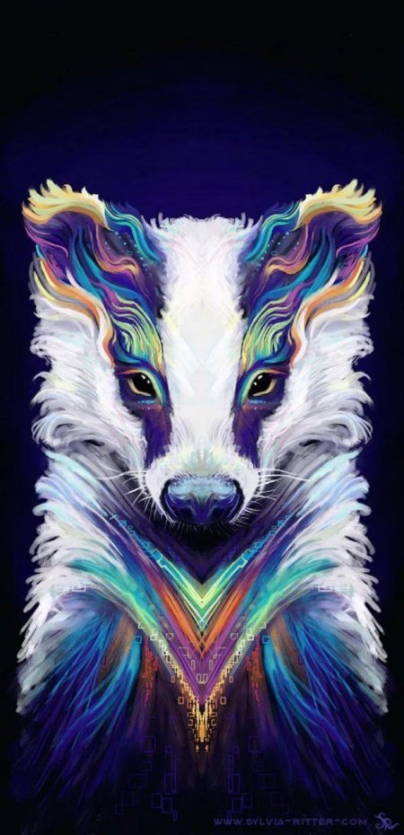 Сильвия риттер животные