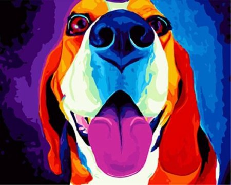 Животные в стиле поп арт