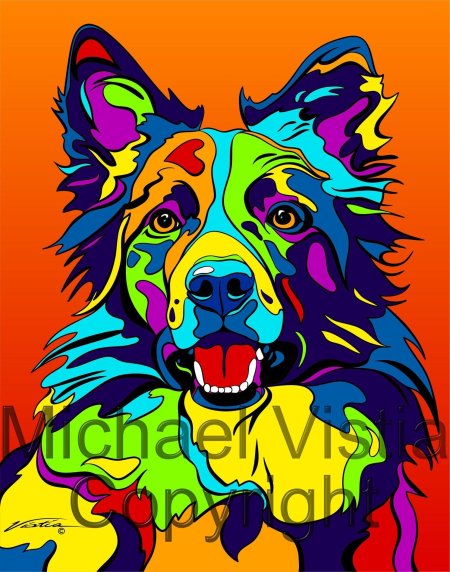 Бордер колли разноцветная