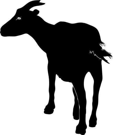Коза силуэт