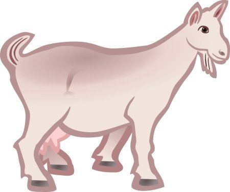 Клипарт коза