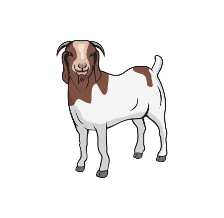 Goat clipart