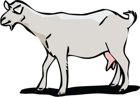 Коза на прозрачном фоне