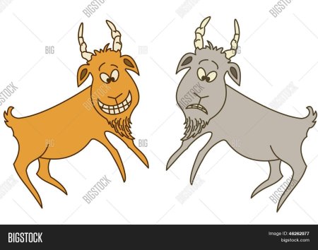 Два козла