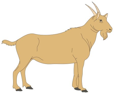 Коза клипарт