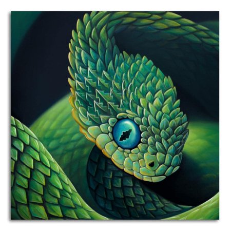 Шершавая древесная гадюка atheris squamigera