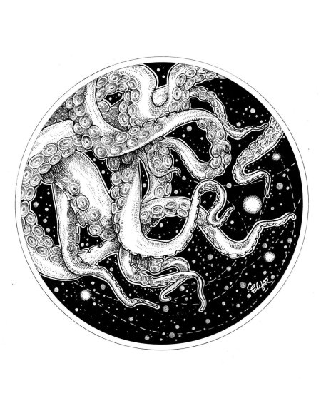 Осьминог тату эскиз