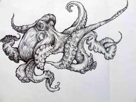 Осьминог кракен осьминог tattoo