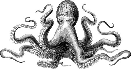 Осьминог кракен рисунок