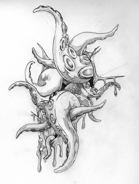 Осьминог кракен осьминог tattoo